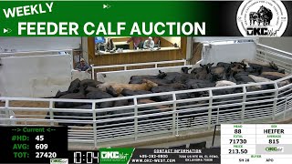 512024  OKC West Feeder Calf Auction [upl. by Sadie708]