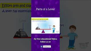 Lever  Types of Levers  Parts of Lever  Application of Levers  Simple Machine  Science shorts [upl. by Maggi]