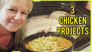 3 Cooked Chicken Project Ideas [upl. by Fraze]