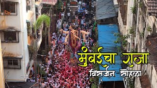 Live Visarjan Mumbaicha raja 2024 ganesh galli drone shots [upl. by Aela586]