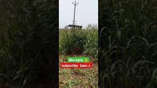 bajra katne की masinfarmer digital agriculture [upl. by Doris962]