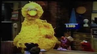 My Sesame Street Home Video Play Along Games amp Songs Part 1 [upl. by Emia]