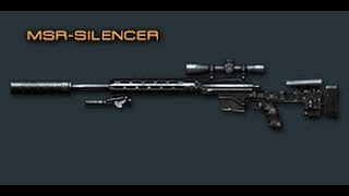 Cross Fire China  MSRSilencer Review [upl. by Alad326]