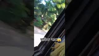 Hanif bus hanifbus highlights subscribe everyone foryou [upl. by Anyrb]