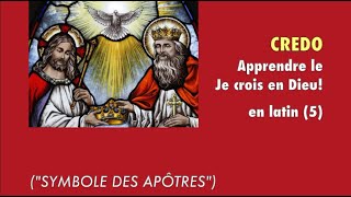 🌺 APPRENDRE LE quotSYMBOLE DES APÔTRESquot OU quotJE CROIS EN DIEUquot EN LATIN— LE CREDO [upl. by Raji]