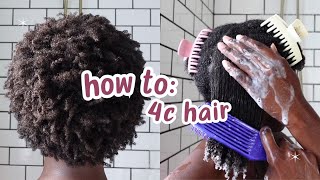 Curly Hair 101 Beginners Guide to 4C Hair [upl. by Teak]