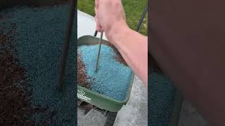 Reseeding my lawn after sand leveling pt 6 lawn diy [upl. by Eastlake]