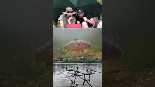 Lost my mind 🤣 fishing carping carp underwater shorts carpfishing catchandrelease carprun [upl. by Bijan]