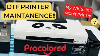 Procolored panda DTF printer unbox part 1 [upl. by Emse]