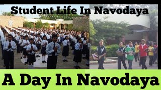 A Day In Navodaya Vidyalaya  Daily Routine Of Navodaya Students  Jawahar Navodaya Vidyalaya Exam [upl. by Negah643]