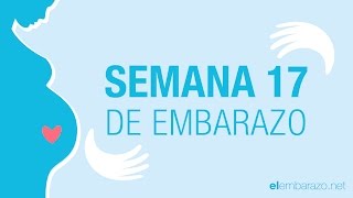 Semana 17 de embarazo  17 semanas de embarazo  El embarazo semana a semana [upl. by Bearce]