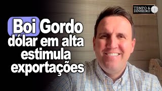 Boi gordo dólar em alta estimula exportações e tem escalas reduzidas diz Tiago Bernardino do CEPEA [upl. by Eidnak]