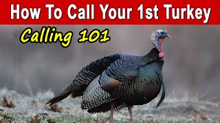 How To Call Turkeys For Beginners amp Basic Calling Strategy [upl. by Ondrea]