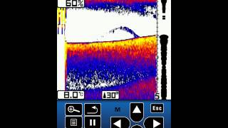 Vexilar Sonarphone TPod am See [upl. by Narag411]