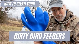 How to clean your dirty bird feeders [upl. by Llenra]