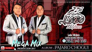 LOBO MIXTECO MEGA MIX DEL ALBUM PAJARO CHOGUI  PRODUCCION 2017 [upl. by Purdy]