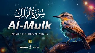 Worlds most beautiful recitation of Surah MULK The Kingdom سورة الملك  Zikrullah TV [upl. by Down]