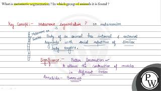 What is metameric segmentation In which group of animals it is fou [upl. by Reltuc440]