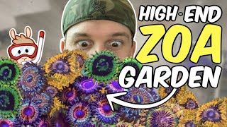 Creating a HIGHEND Zoa Garden [upl. by Etnauj]