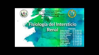 Fisiología del Intersticio Renal [upl. by Medin]