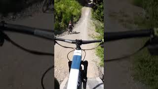 Bikepark Leogang hotshots 2023 [upl. by Arracot]