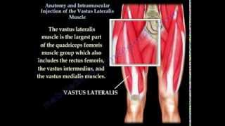 Vastus Lateralis intramuscular Injection  Everything You Need To Know  Dr Nabil Ebraheim [upl. by Gazzo]