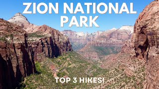 The Best Hikes in Zion National Park [upl. by Aiset]