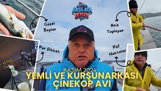 YEMLİ VE KURŞUNARKASI ÇİNEKOP KASIM 24 çinekop lüfer istanbul balıkavı kurşunarkası öneçıkar [upl. by Anelrihs]