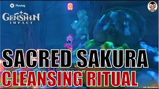 Complete Guide Cleansing Defilement  Sacred Sakura Cleansing Ritual Part1  Genshin Impact [upl. by Lashond995]