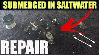 How To Fix It I Dropped My Spinning Reel In Saltwater [upl. by Gisella]