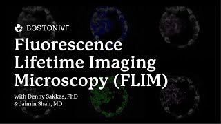 Fluorescence Lifetime Imaging Microscopy FLIM  Dr Shah amp Dr Sakkas [upl. by Ahsilla]