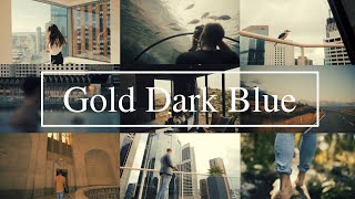 FREE Cinematic Lut  Gold Dark Blue Cinematic Lut for Final Cut Pro amp Premiere Pro [upl. by Euqina]