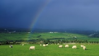 quotThe Fields of Athenryquot is an Irish folk ballad and Good Luck to Galway playing in the AllIreland [upl. by Eimarej770]