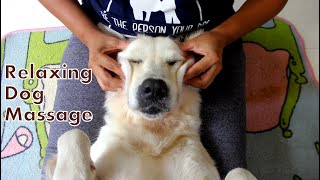 Relaxing Dog Massage [upl. by Adimra]