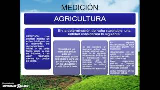 NIC 41 ACTIVOS BIOLOGICOS Y PRODUCCION AGRICOLA [upl. by Arlee]