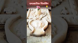 Har har Mahadevmahadev status new year videobholenath status video shortvideo shorts shiv 🙏 [upl. by Qahsi]