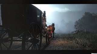 Carriage Ride Ambience ASMR  Rainy Night Travel [upl. by Une]