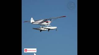 Take a Look at the Neely Sportsman Amphibious Airplane in Take Off generalaviation aircraft [upl. by Suirada463]