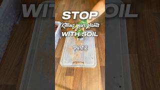 No soil substrate with chunky mix Part 1 plantsoilmix planttips plantcaretips houseplantclub [upl. by Marrin]