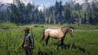 RDR2  Buckskin American Standardbred with Location [upl. by Ekralc]