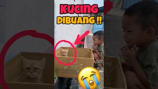 Vano menemukan Anak Kucing Dibuang 😭 kucing kasihan [upl. by Wolsky]