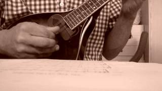 Fingerpicking Mandolin On Top of Old Smoky [upl. by Undry]