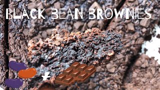 Fudgy black bean chocolate brownies Easy recipe Vegan and gluten free [upl. by Cenac]