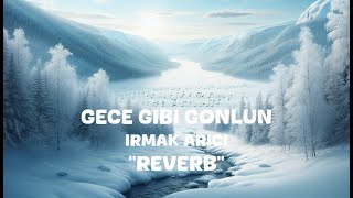 Irmak Arici  Gece Gibi Gonlun Reverb Lyrics [upl. by Sualokin]