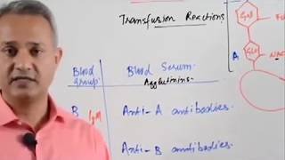 Blood Typing and Agglutination Reactions [upl. by Anabelle]