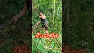 Mananabas minivlog farmer [upl. by Roger760]