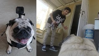 A DAY IN THE LIFE OF BOSLEY GoPro Point of View  FaZe Rug [upl. by Greenes]