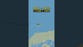 Seoul ICN to Tokyo NRT Korean Air Flight KE551 seoul tokyo koreanair flight travel [upl. by Deering22]