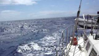 Offshore Sailing Cabo to Hawaii [upl. by Yrret]