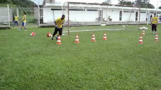 TREINAMENTO DE GOLEIRO  VAGNER LAMEIRAO [upl. by Brig]